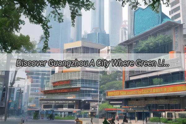 Discover Guangzhou A City Where Green Living Meets Modern Lifestyle